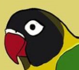Mother Of Birbs